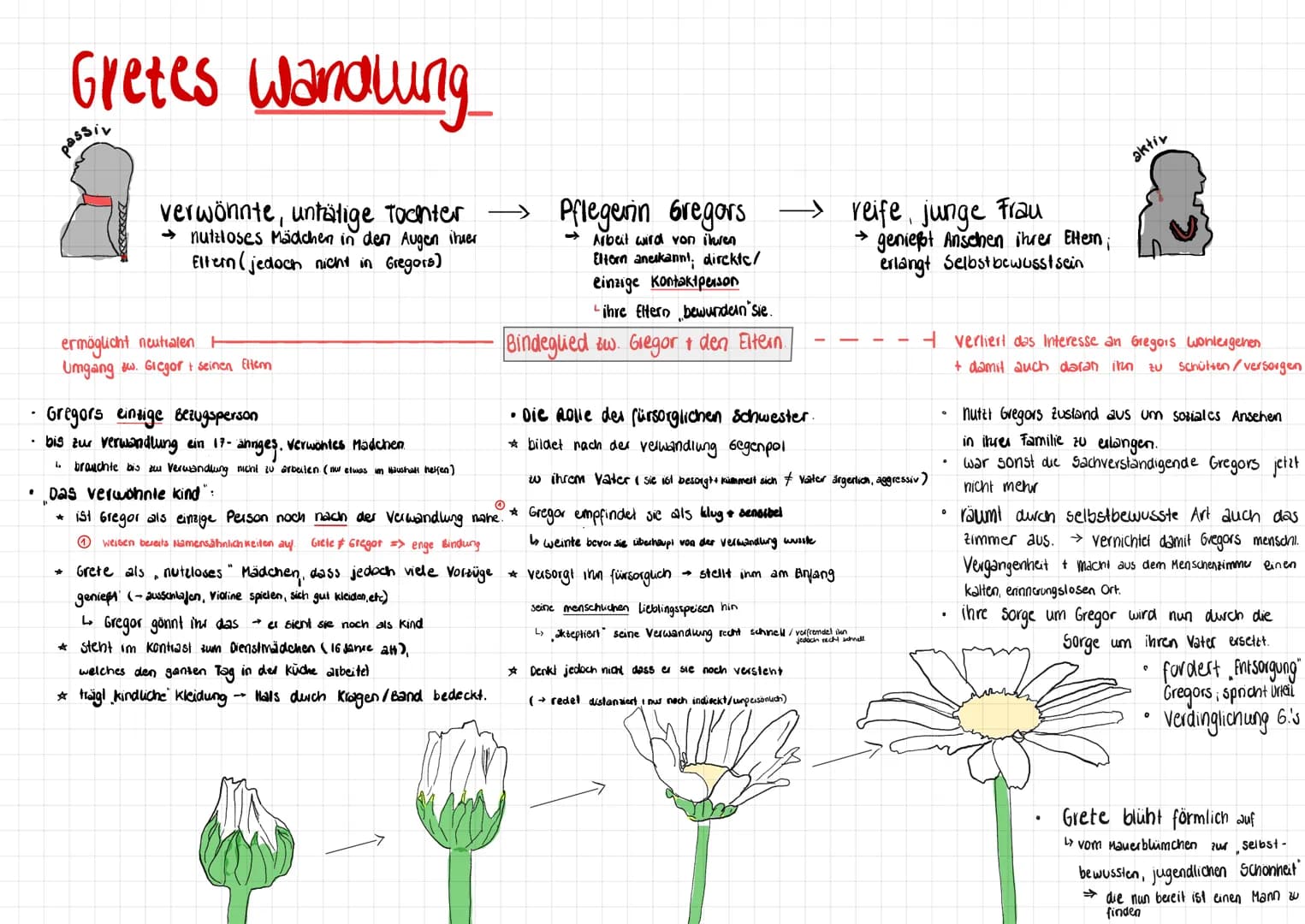 .
Gretes wandlung
passiv
verwöhnte, untätige Tochter
→nutzloses Mädchen in den Augen ihrer
Eltern (jedoch nicht in Gregors)
ermöglicht neutr