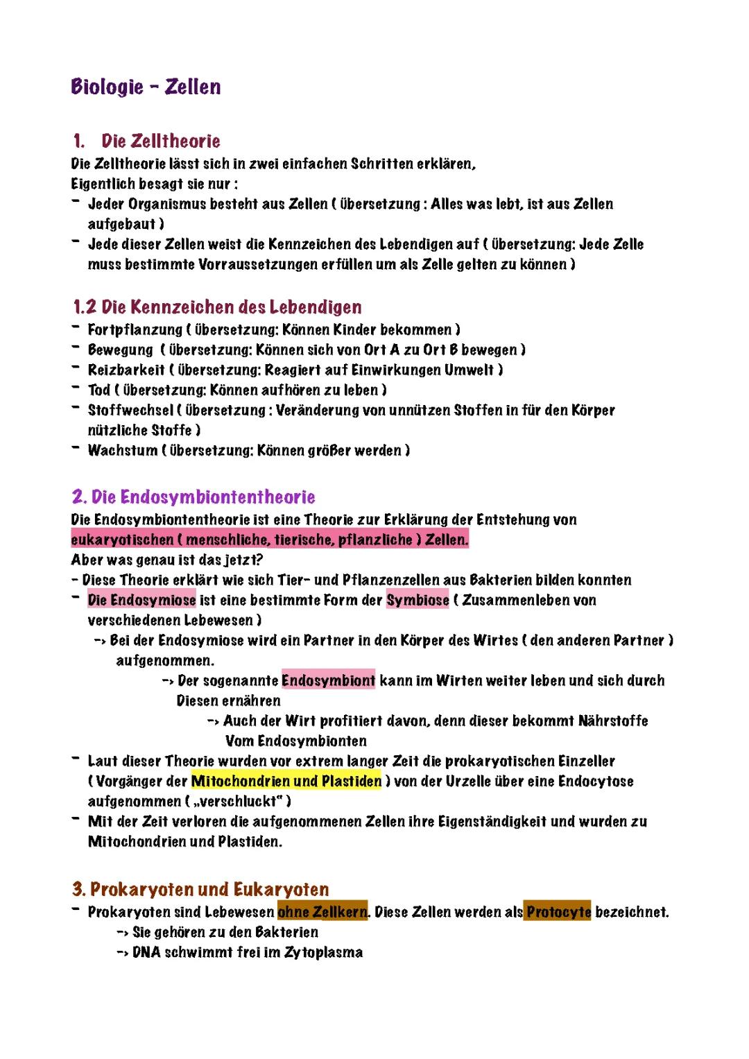 Tierische und pflanzliche Zellen: Unterschiede, Tabellen und Arbeitsblätter für Kinder