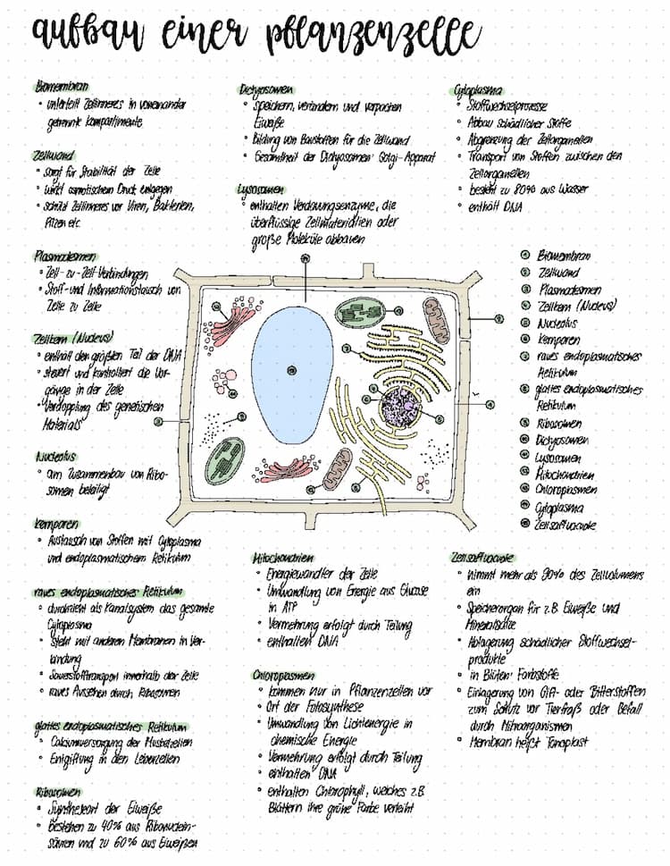 Know Cytologie thumbnail