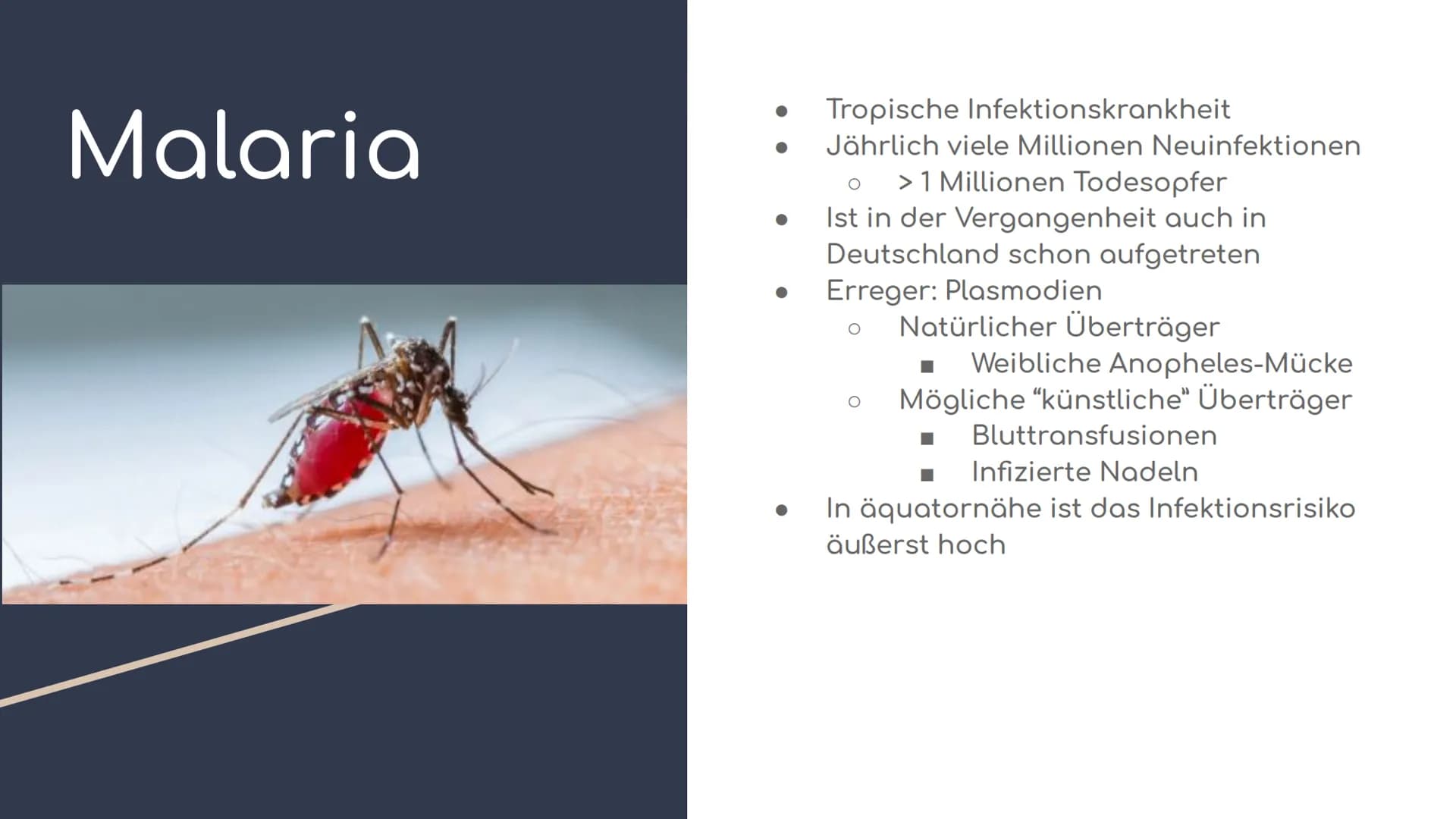 Übersicht - Parasitismus (am Bsp. Malaria)
Glossar - Parasitismus
Fachbegriff
Parasitismus
Obligater Parasitismus
Raubparasiten/
Parasitoide