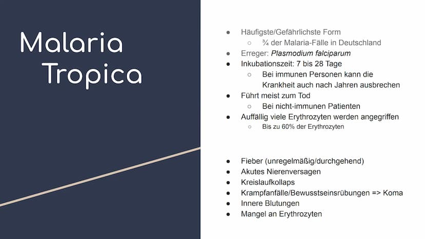 Übersicht - Parasitismus (am Bsp. Malaria)
Glossar - Parasitismus
Fachbegriff
Parasitismus
Obligater Parasitismus
Raubparasiten/
Parasitoide