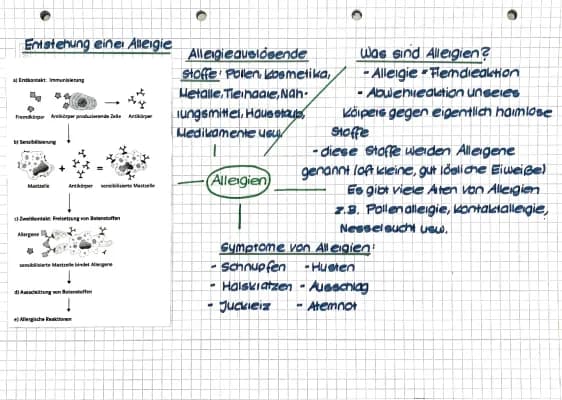 Know Allergien Mindmap  thumbnail