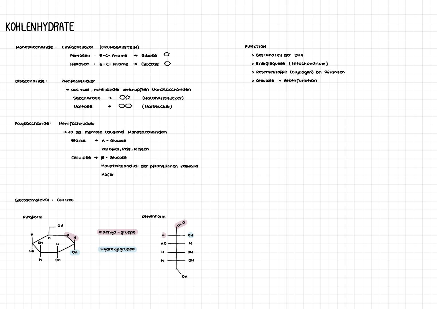 KOHLENHYDRATE
Monosaccharide Einfachzucker (GRUNDBAUSTEIN)
Disaccharide:
Ringform
Polysaccharide: Mehrfachzucker
H
НО
OH
Glucosemolekül C6H1