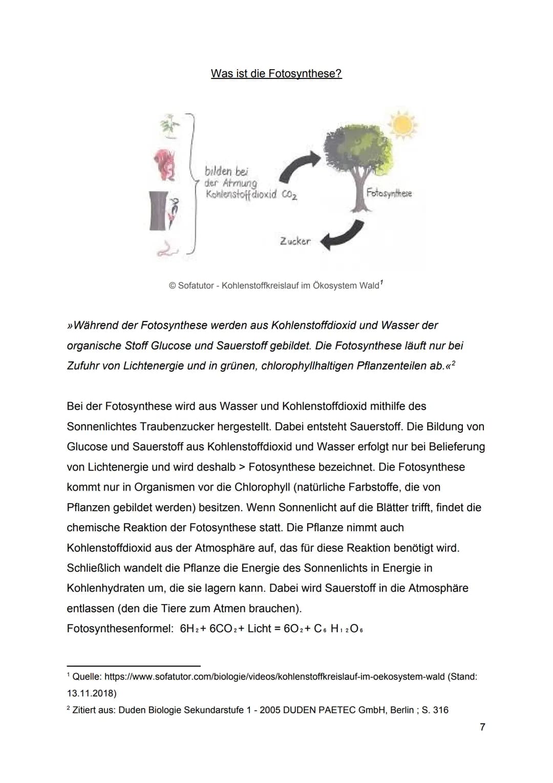 1.
2.
3.
Inhaltsverzeichnis
Was ist ein Stoffkreislauf?
1.1.
Definition eines Stoffkreislaufes
1.2.
Wie entsteht ein Stoffkreislauf?
1.3. Ar