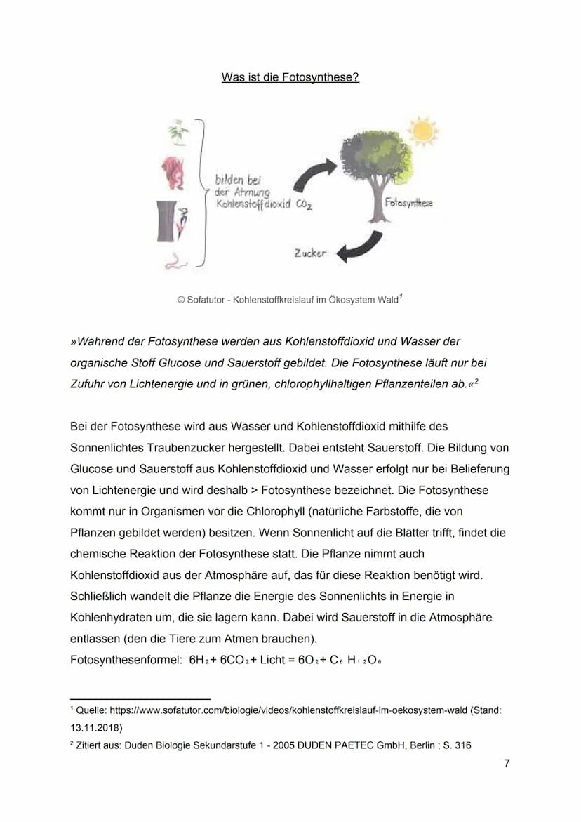 1.
2.
3.
Inhaltsverzeichnis
Was ist ein Stoffkreislauf?
1.1.
Definition eines Stoffkreislaufes
1.2.
Wie entsteht ein Stoffkreislauf?
1.3. Ar