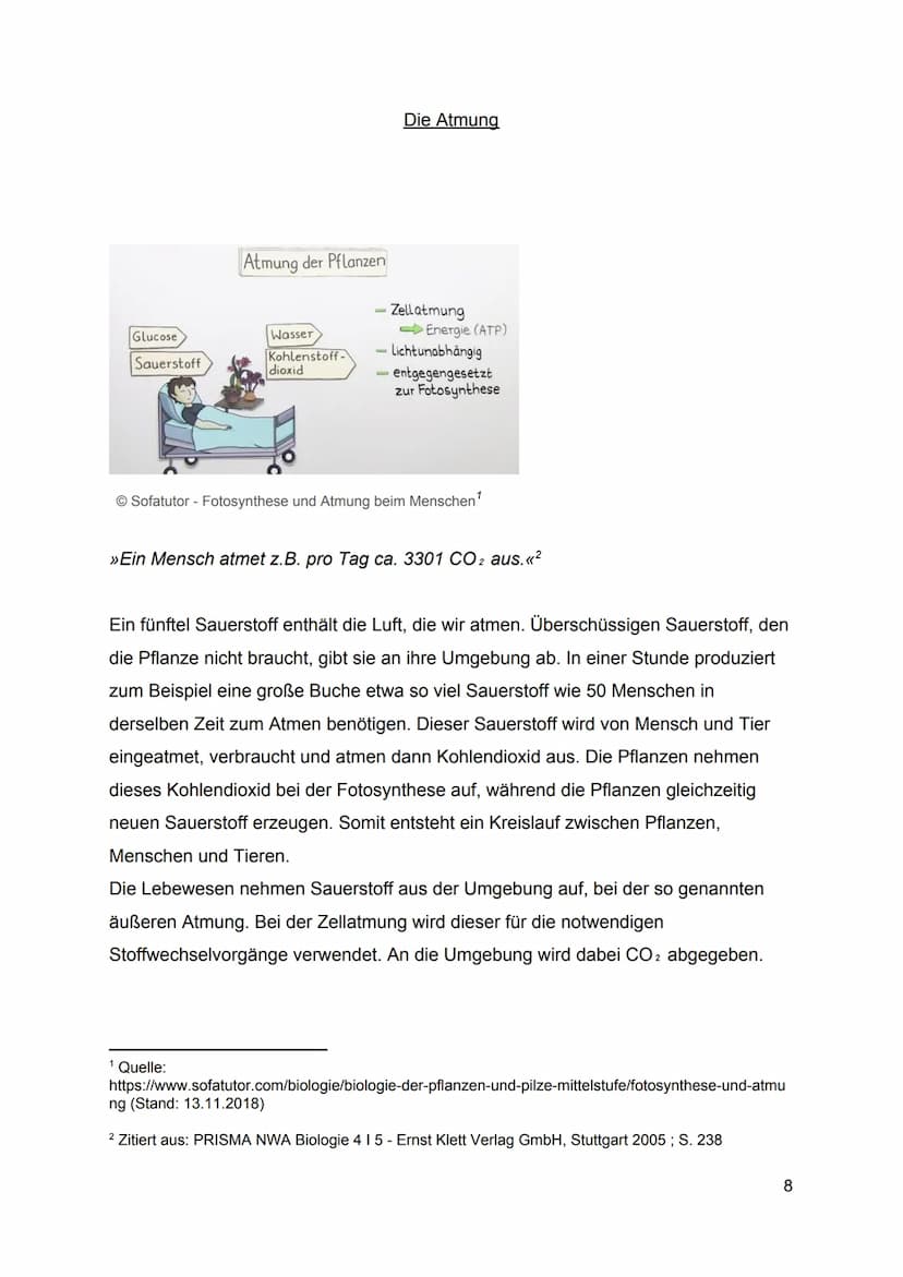 1.
2.
3.
Inhaltsverzeichnis
Was ist ein Stoffkreislauf?
1.1.
Definition eines Stoffkreislaufes
1.2.
Wie entsteht ein Stoffkreislauf?
1.3. Ar