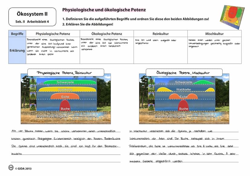Ökosystem II
Sek. II Arbeitsblatt 3
Produzierte
Biomasse
Reaktion
Pessimum
Minimum
(Tod)
Pejus
Optimum
Toleranzkurven
Ⓒ GIDA 2013
1. Zeichne
