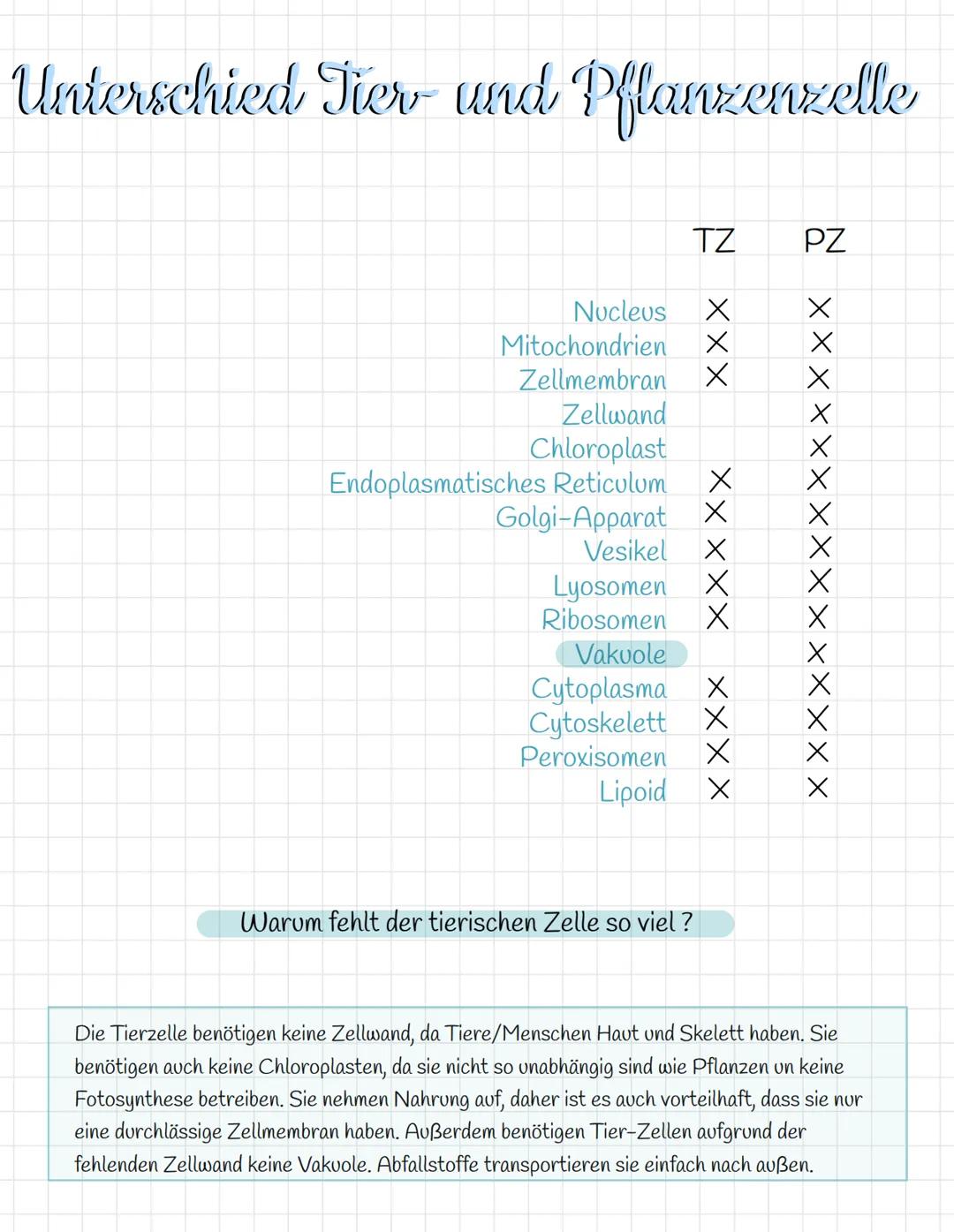 Kompartimentierung = Zellkompartierung
Die Kompartimentierungsregel nach E.Schnepf besagt, dass alle
membranumgrenzten Reaktionsräume in euk