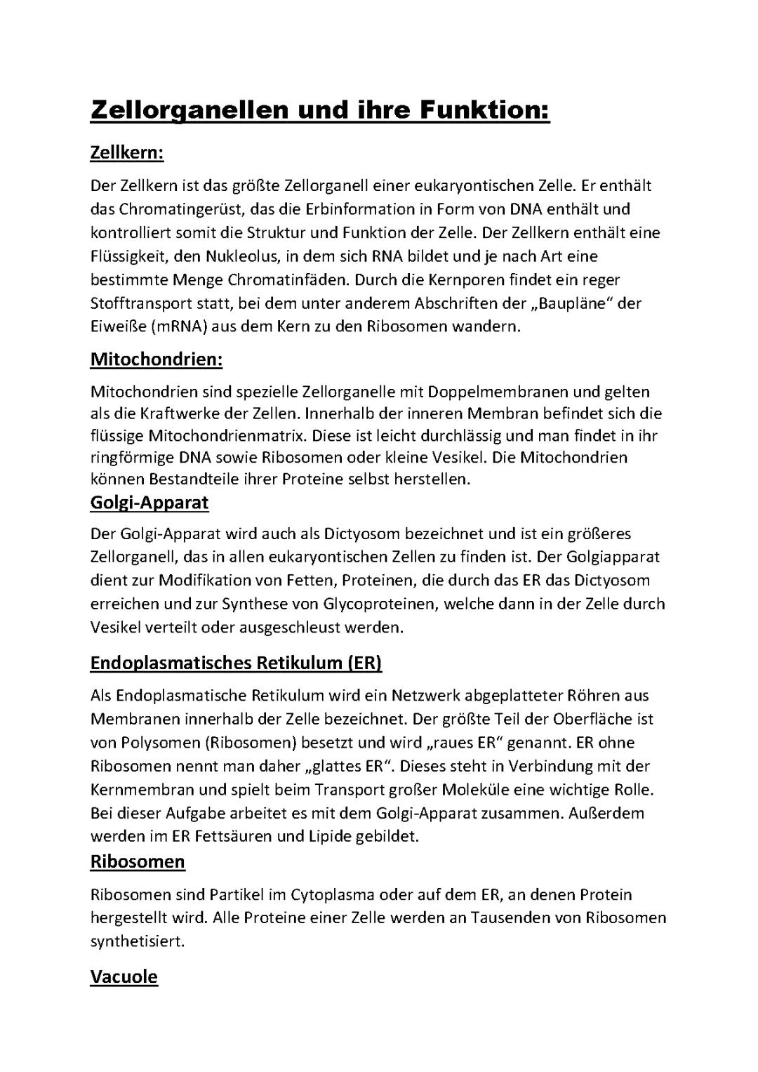 Zellorganellen und ihre Funktion