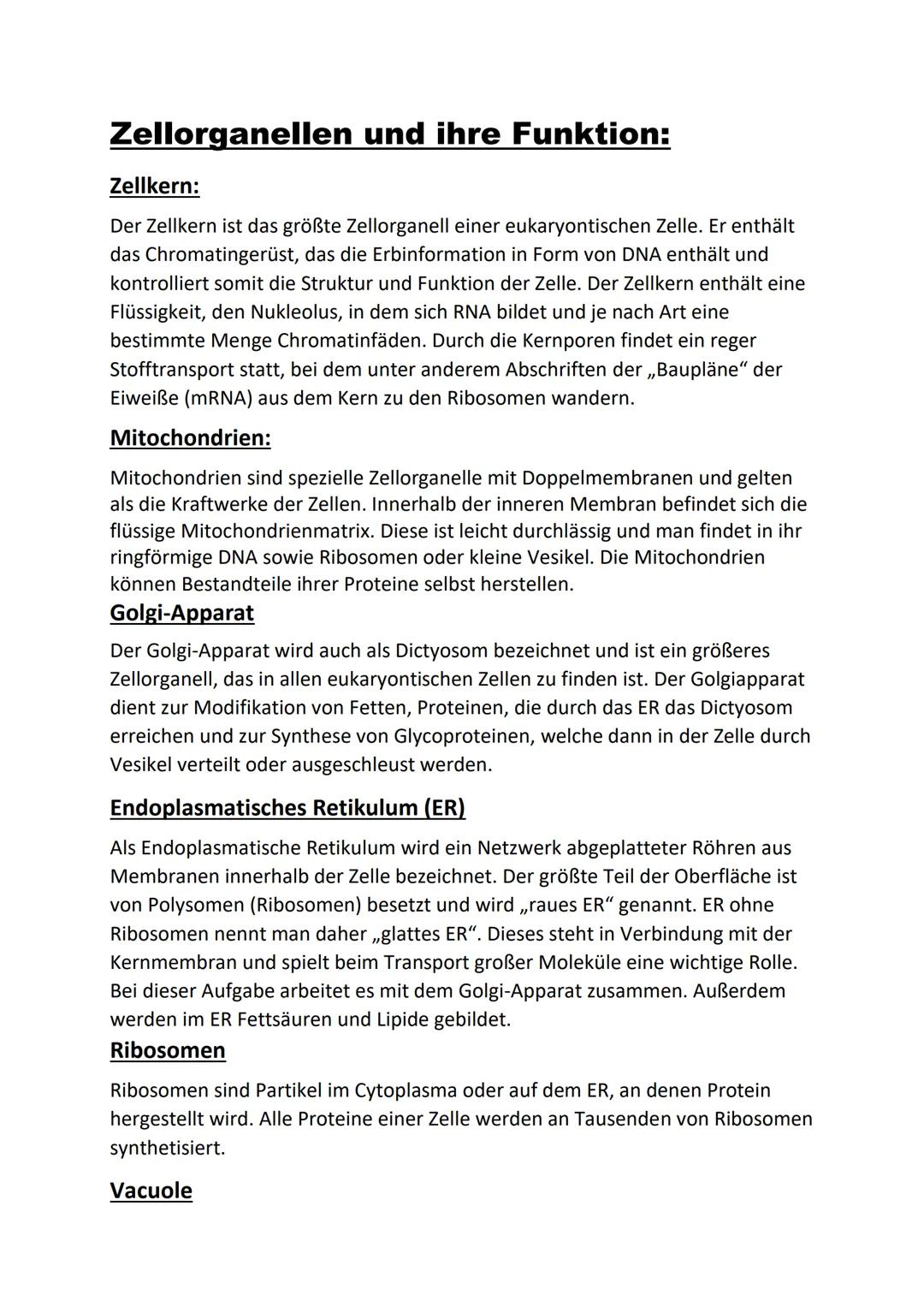 Zellorganellen und ihre Funktion:
Zellkern:
Der Zellkern ist das größte Zellorganell einer eukaryontischen Zelle. Er enthält
das Chromatinge