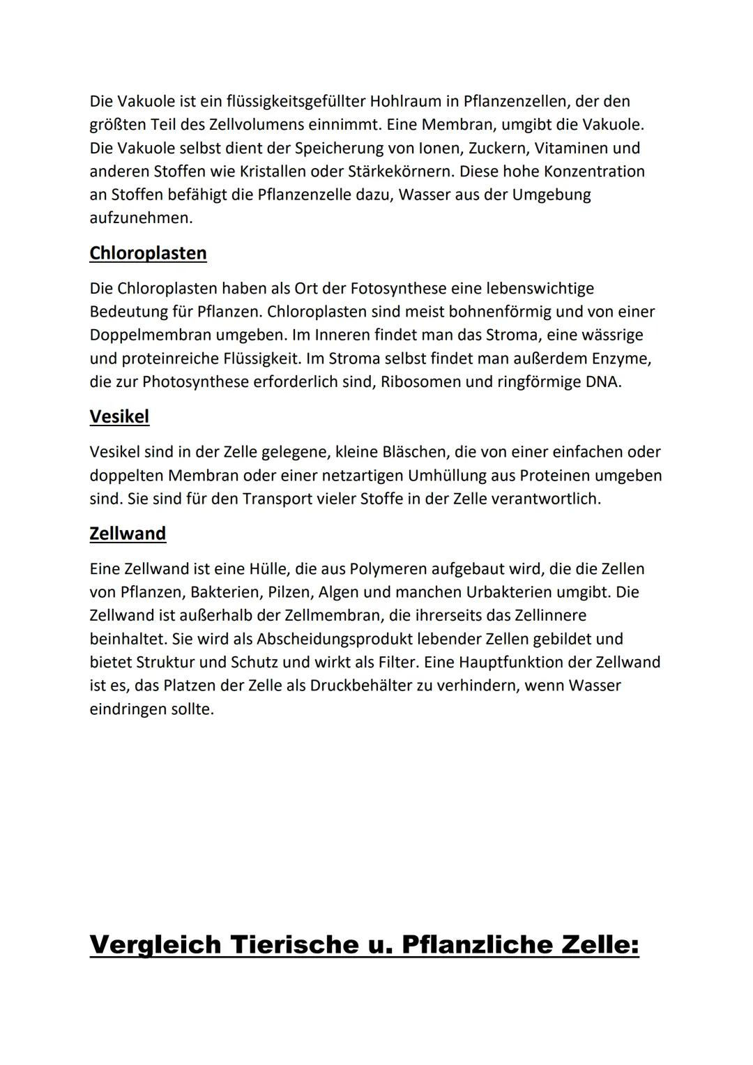 Zellorganellen und ihre Funktion:
Zellkern:
Der Zellkern ist das größte Zellorganell einer eukaryontischen Zelle. Er enthält
das Chromatinge