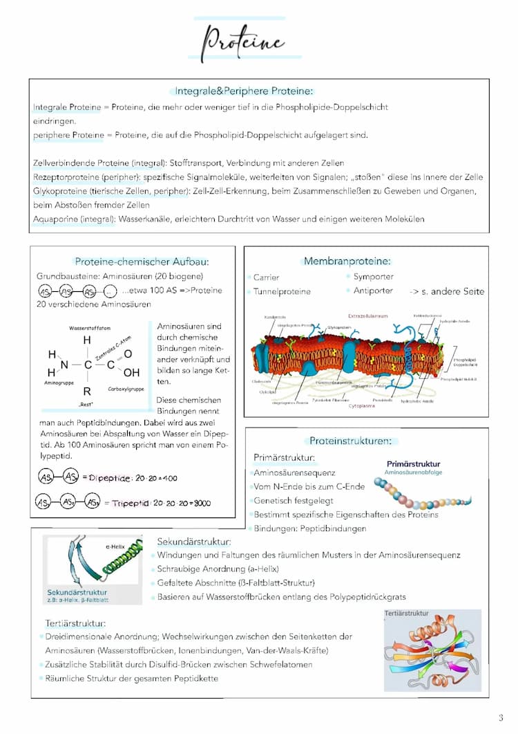 Know Proteine Biologie thumbnail