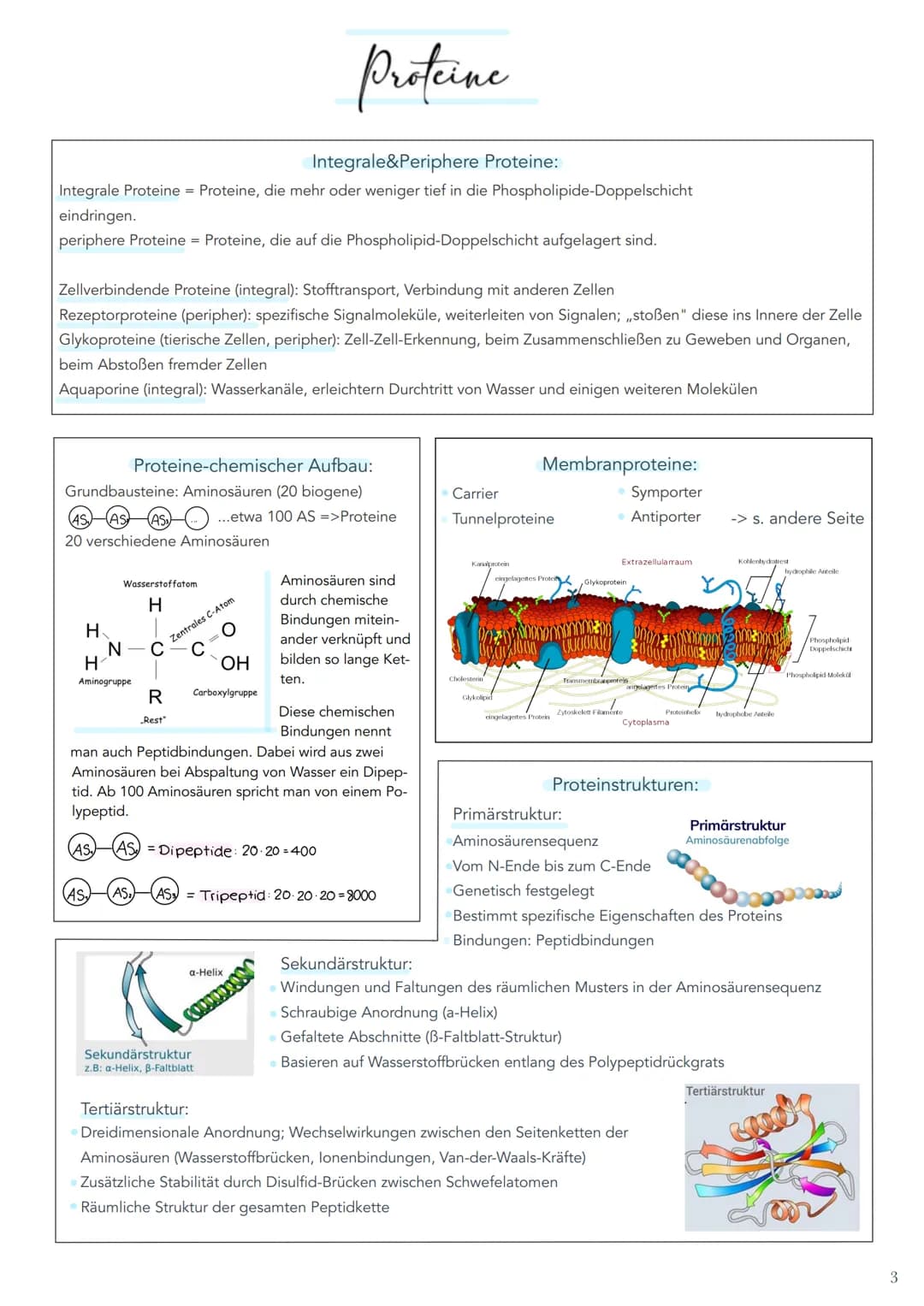 Integrale&Periphere Proteine:
Integrale Proteine = Proteine, die mehr oder weniger tief in die Phospholipide-Doppelschicht
eindringen.
perip