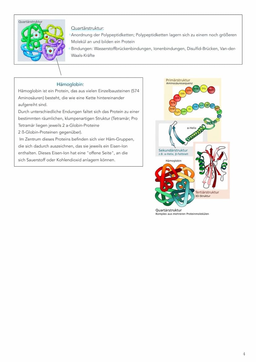 Integrale&Periphere Proteine:
Integrale Proteine = Proteine, die mehr oder weniger tief in die Phospholipide-Doppelschicht
eindringen.
perip