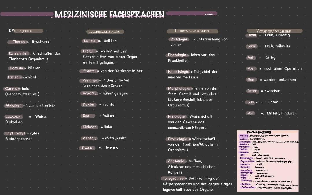 Medizinische Fachbegriffe 