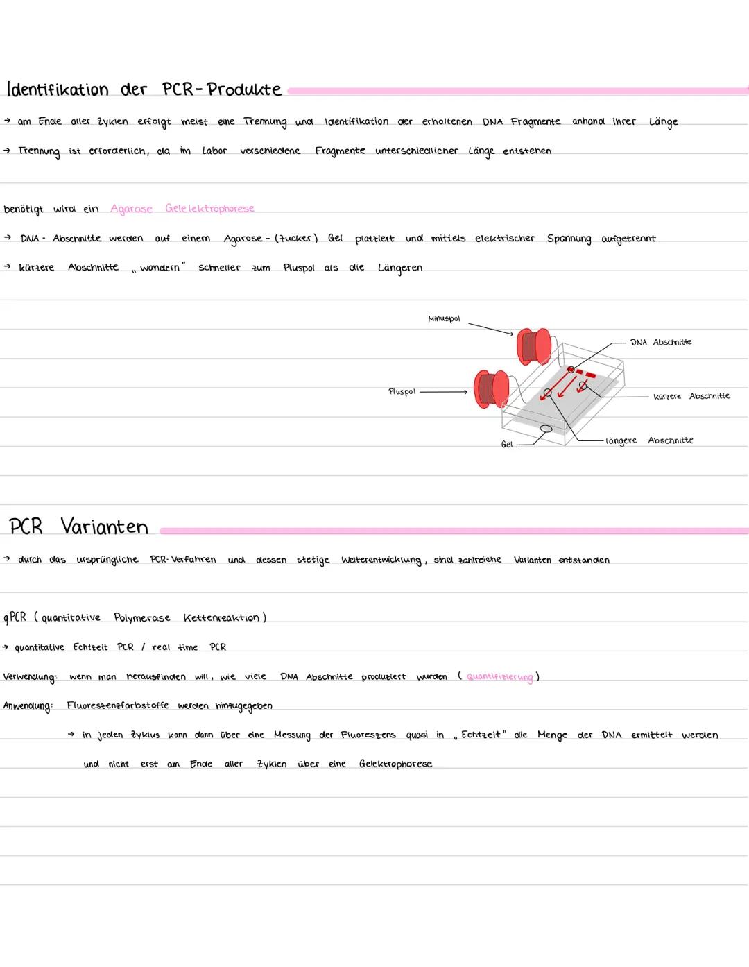 # PCR

definition die Polymerasen Kettenreaktion (PCR, polymerase chain reaction) ist eine enzymatische Technik, die zur
Schnellen Herstellu