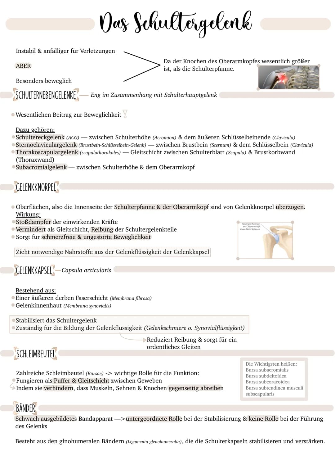 SPORT & GESUNDHEIT ● Definitionen
● Problemstellung
Gelenke
INHALTSVERZEICHNIS
Physiologische Wirkungen
Risikofaktorenmodell
bedentsamkeit h