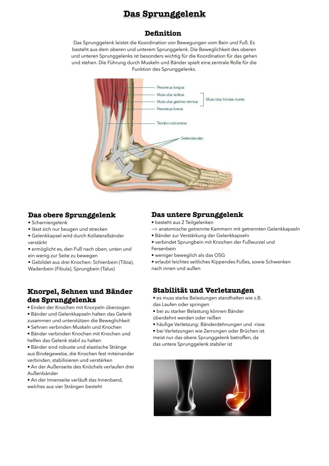 Sport & Gesundheit 