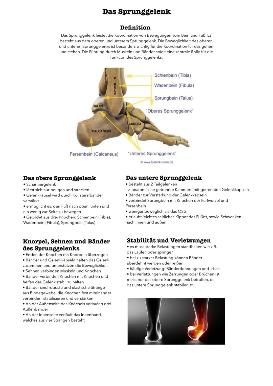Sport & Gesundheit 