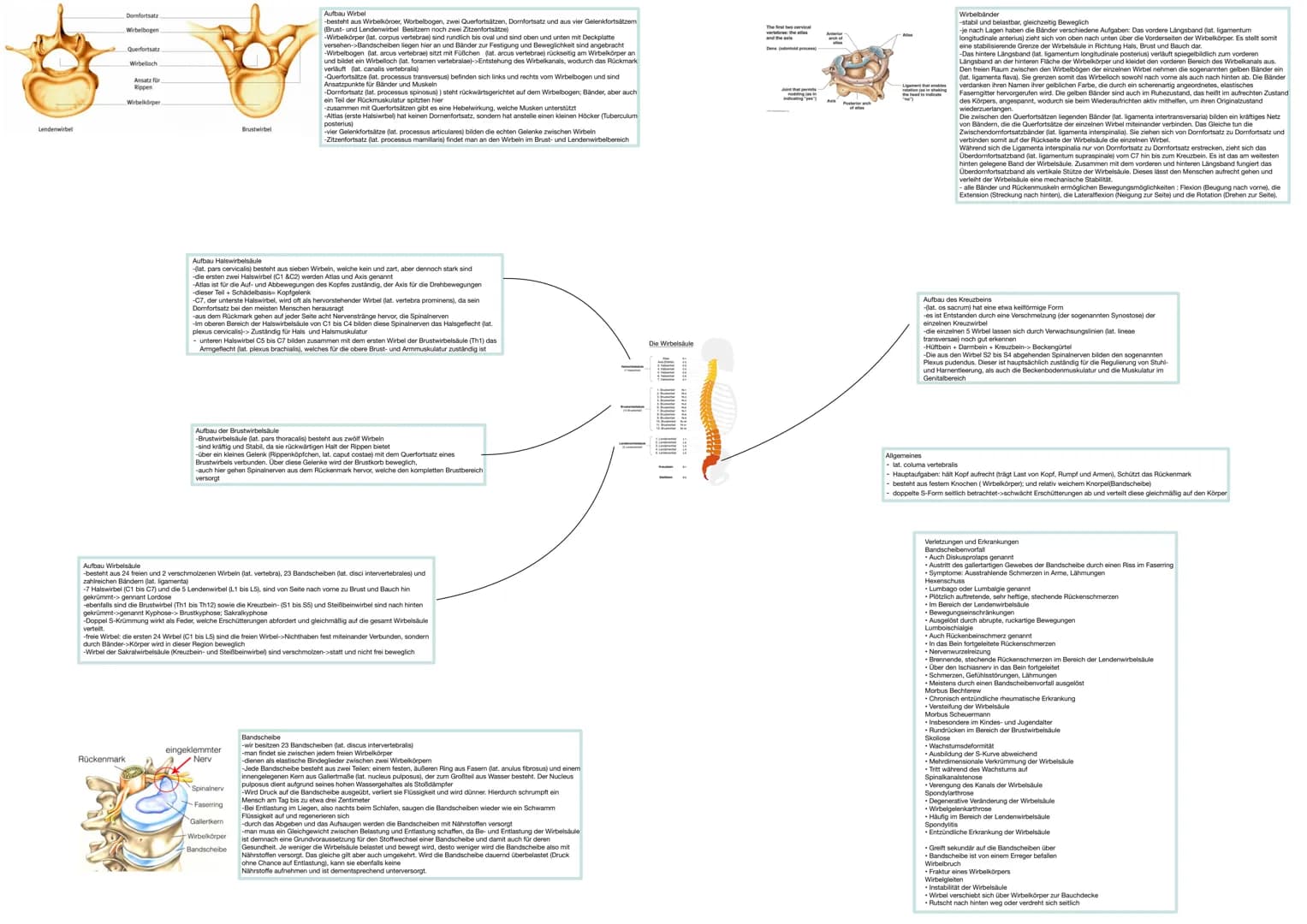 Sport & Gesundheit 