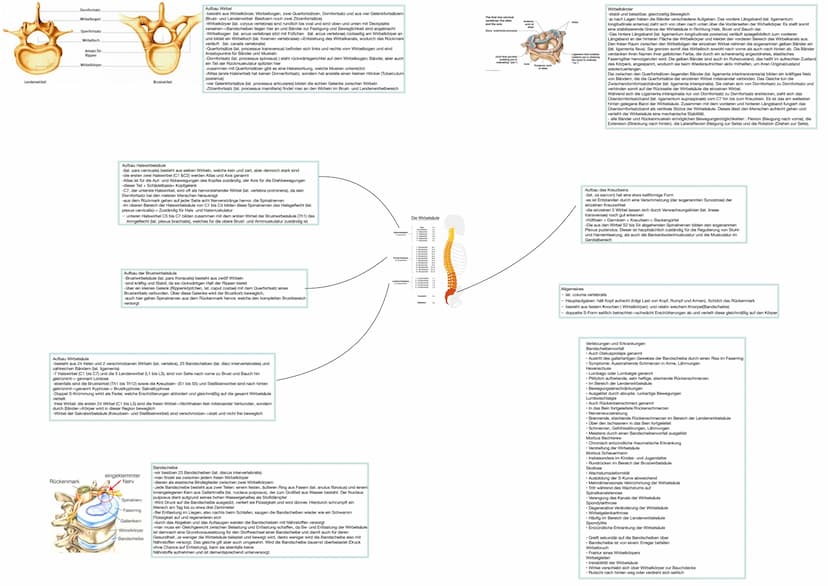 SPORT & GESUNDHEIT ● Definitionen
● Problemstellung
Gelenke
INHALTSVERZEICHNIS
Physiologische Wirkungen
Risikofaktorenmodell
bedentsamkeit h
