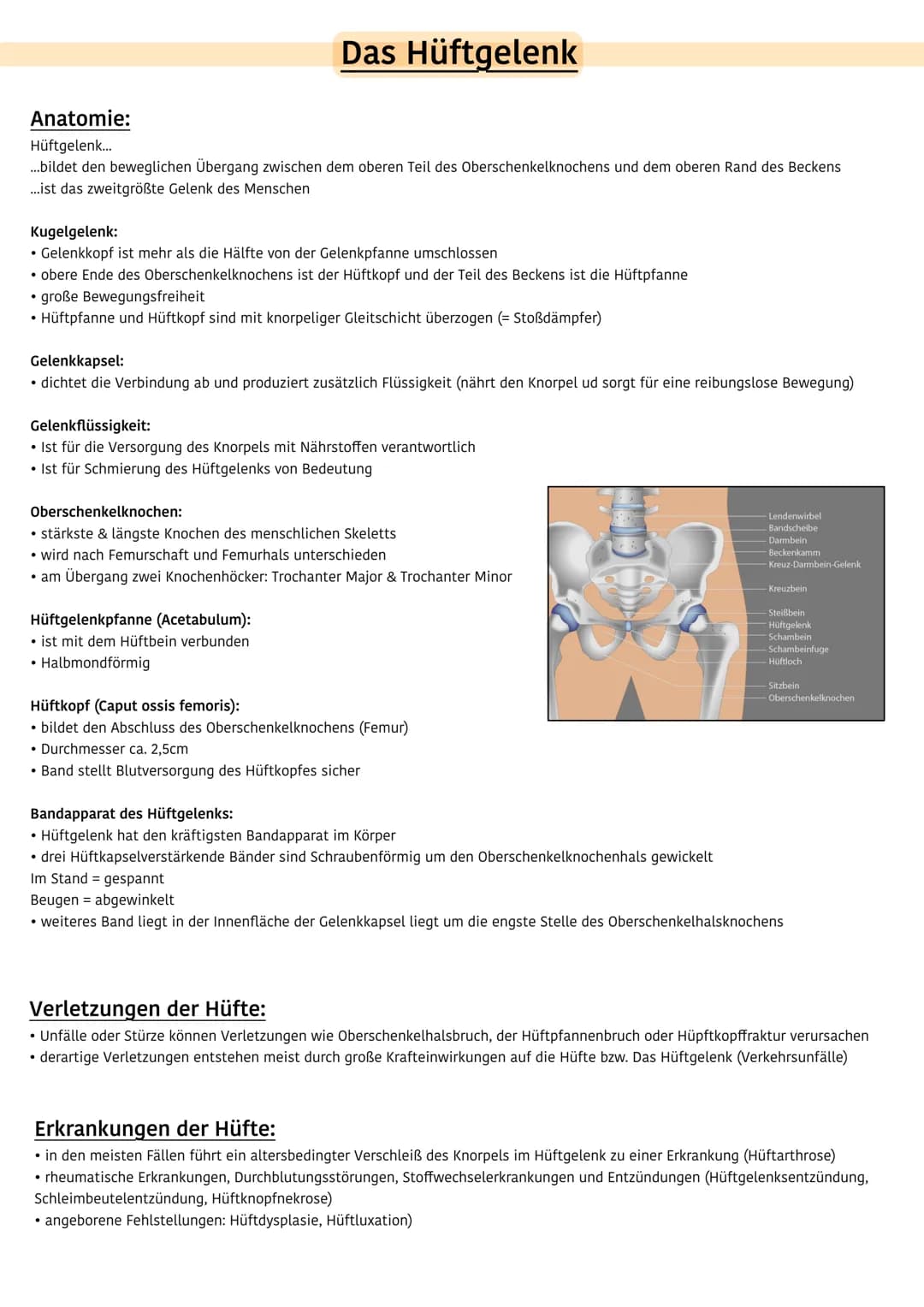 Sport & Gesundheit 