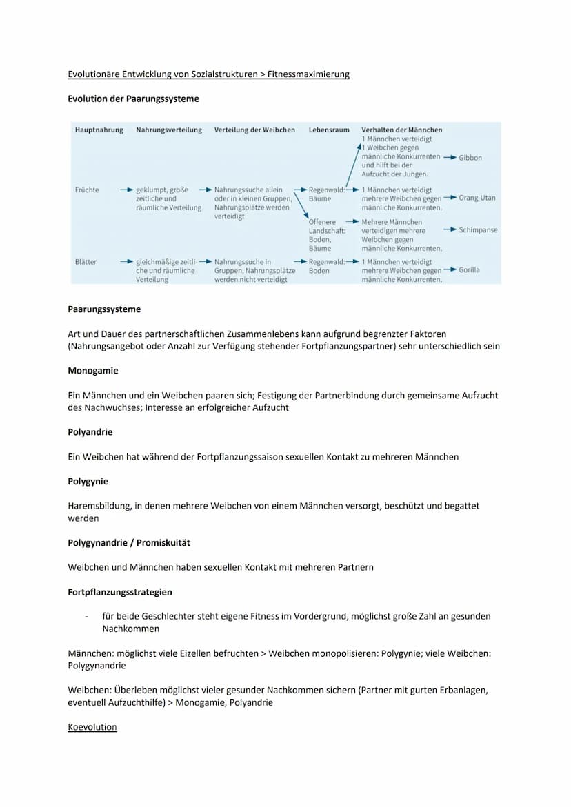 Sexuelle Selektion
Intersexuelle Selektion:
Individuum wählt unter bestimmten Merkmalen einen bevorzugten Partner
Merkmale: Gesang, Federkle