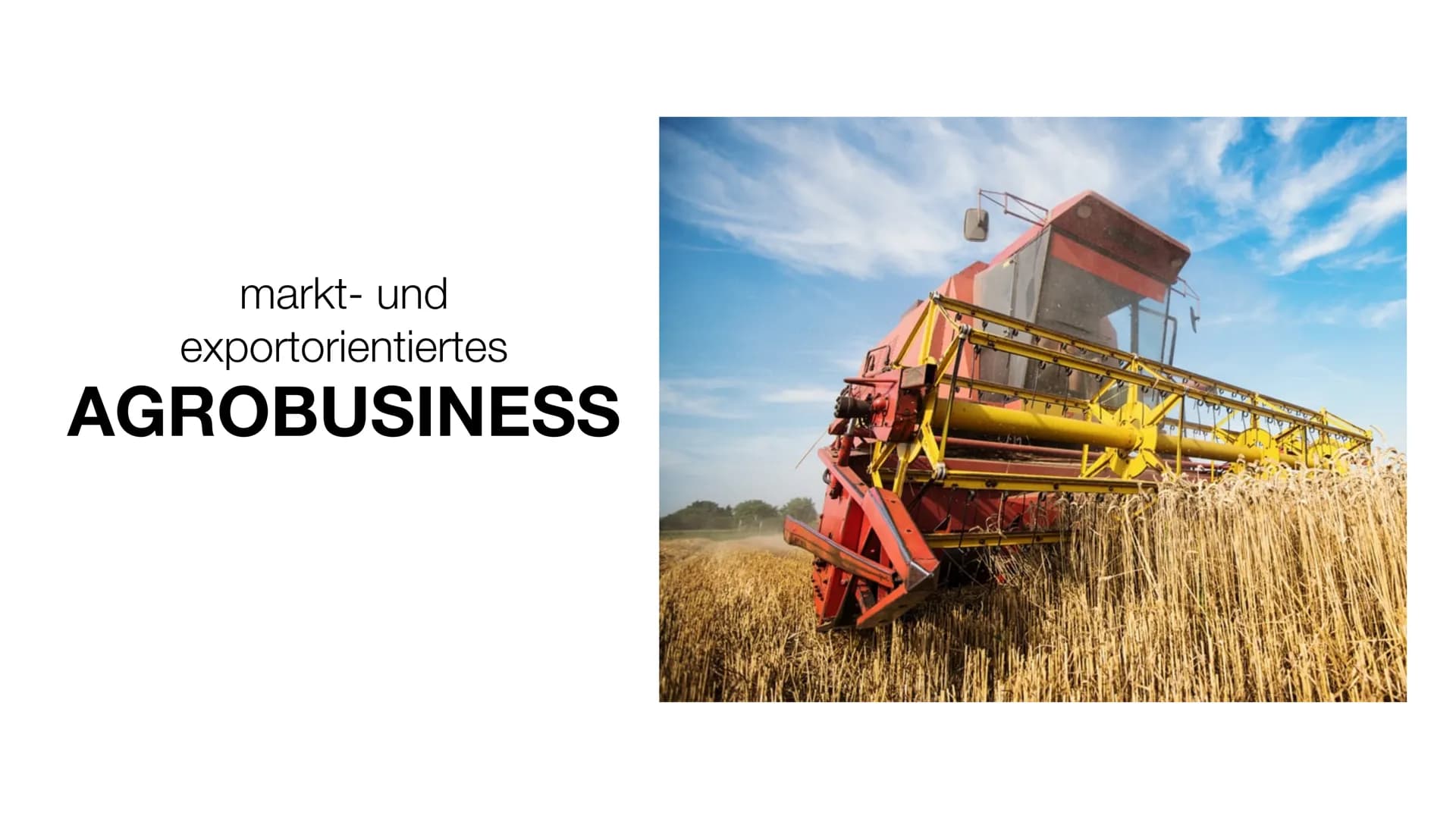 markt- und
exportorientiertes
AGROBUSINESS Inhaltsverzeichnis
●
Was ist Agrobusiness?
Aufbau des Agrobusiness
Strukturwandel in der Landwirt
