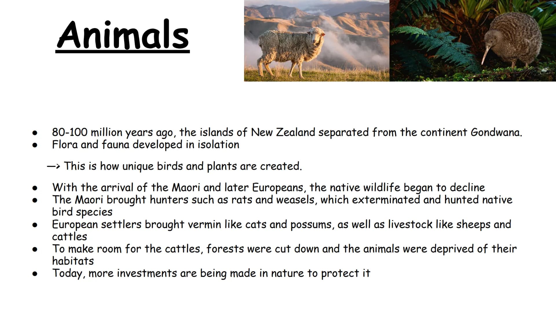 New Zealand • Geography and general facts
•
Flag of New Zealand
History
Māori
Animals
Contents
• Landscapes
• Sights
Tourism
Pros and Cons o