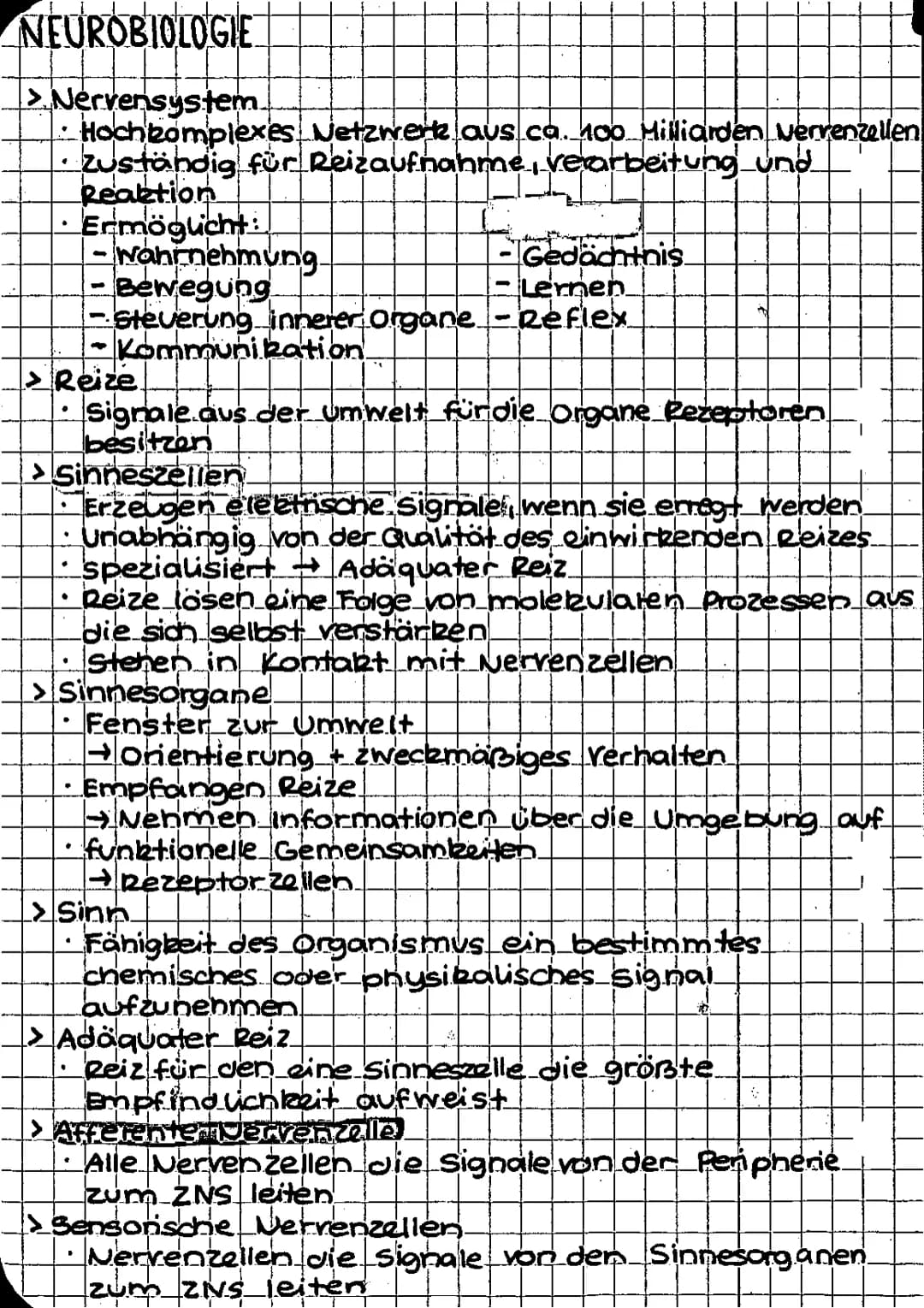 biologie
SPEZIFISCHE IMMUNANTWORT
Humorale Immunantwort Zellulare Immunantwort
infekstion..
Eindringer der Erreger in den Körper
→ Erster An