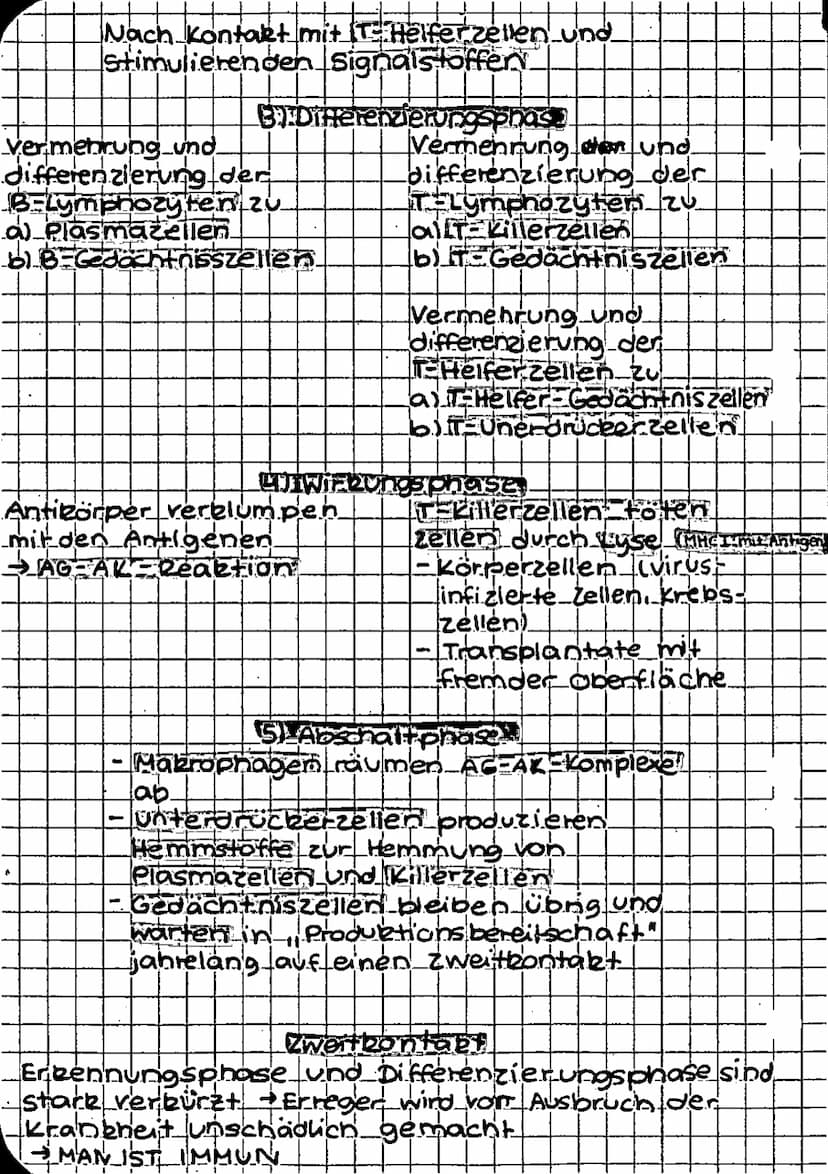 biologie
SPEZIFISCHE IMMUNANTWORT
Humorale Immunantwort Zellulare Immunantwort
infekstion..
Eindringer der Erreger in den Körper
→ Erster An