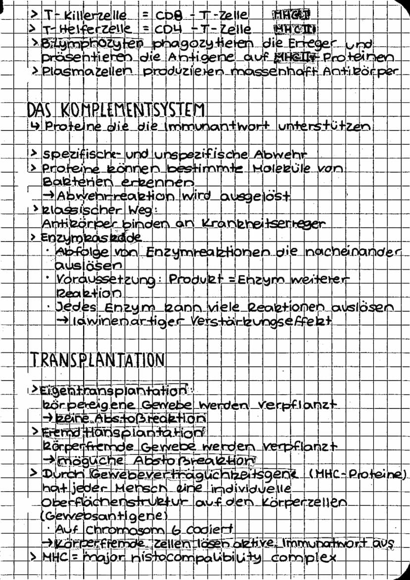 biologie
SPEZIFISCHE IMMUNANTWORT
Humorale Immunantwort Zellulare Immunantwort
infekstion..
Eindringer der Erreger in den Körper
→ Erster An