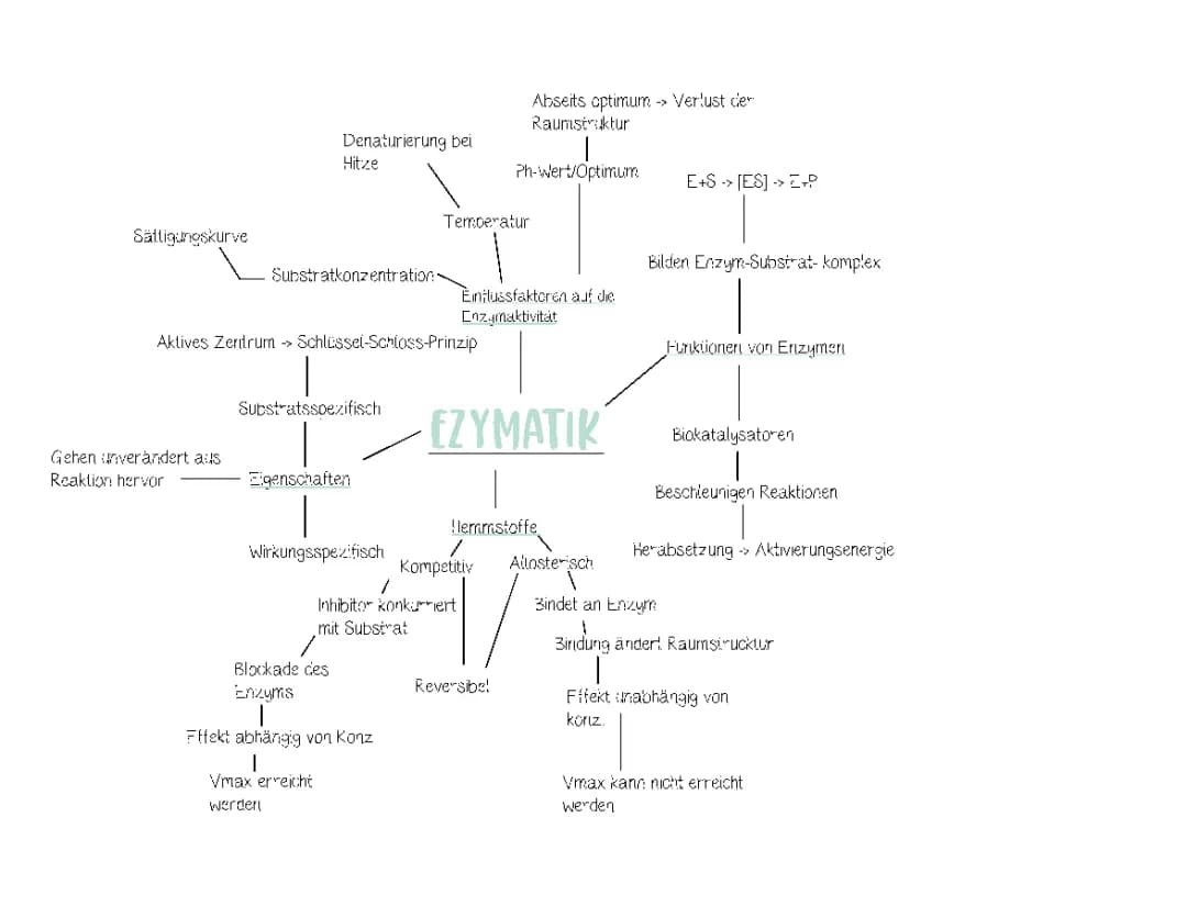 Enzymatik