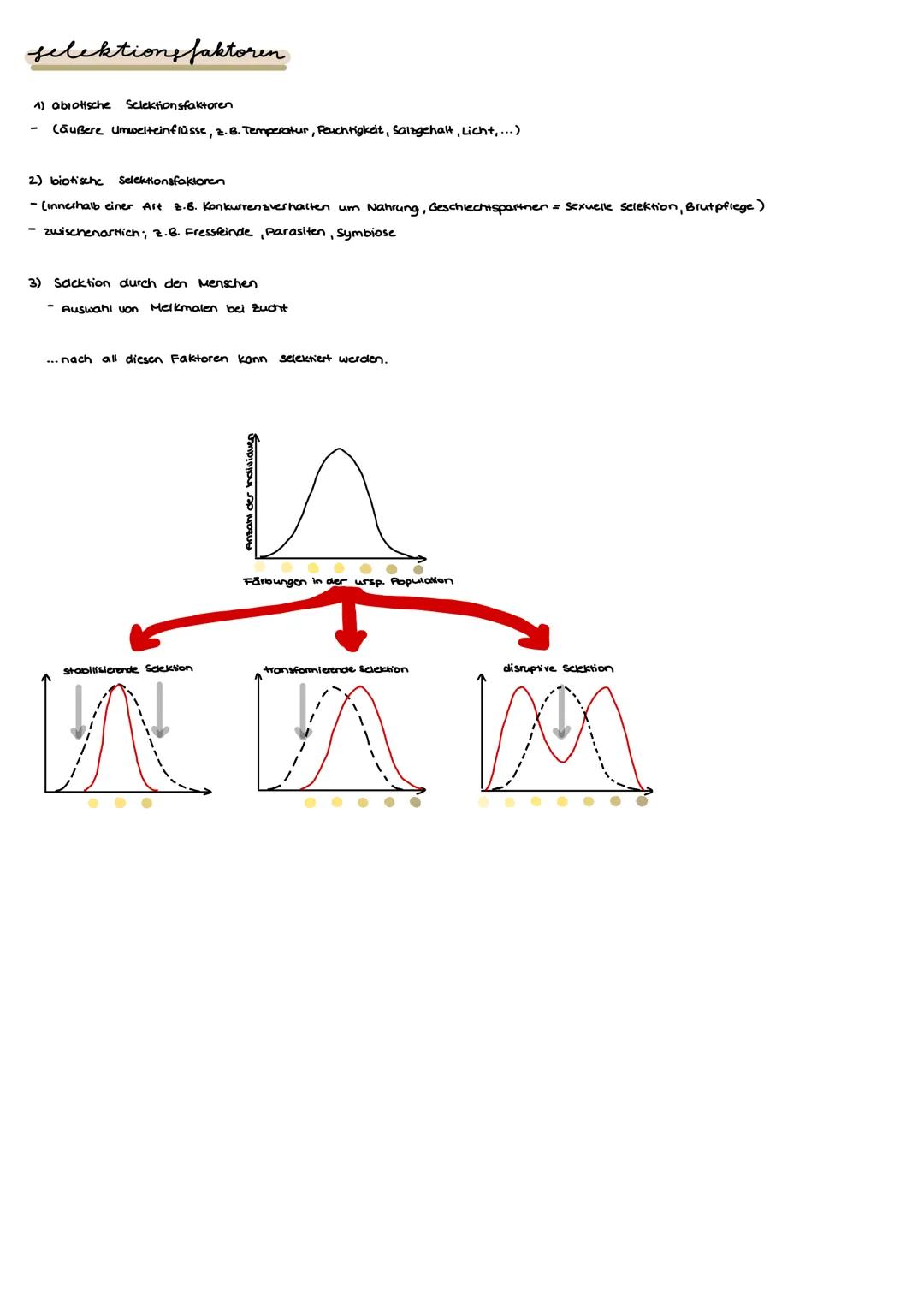 # 5.0 Evolution

Lamarck

- unter Lebewesen besteht abgestufle Ahnlichkeit & Verwandschaft

↳ Arten sind veränderlich → kontinuierlicher Art