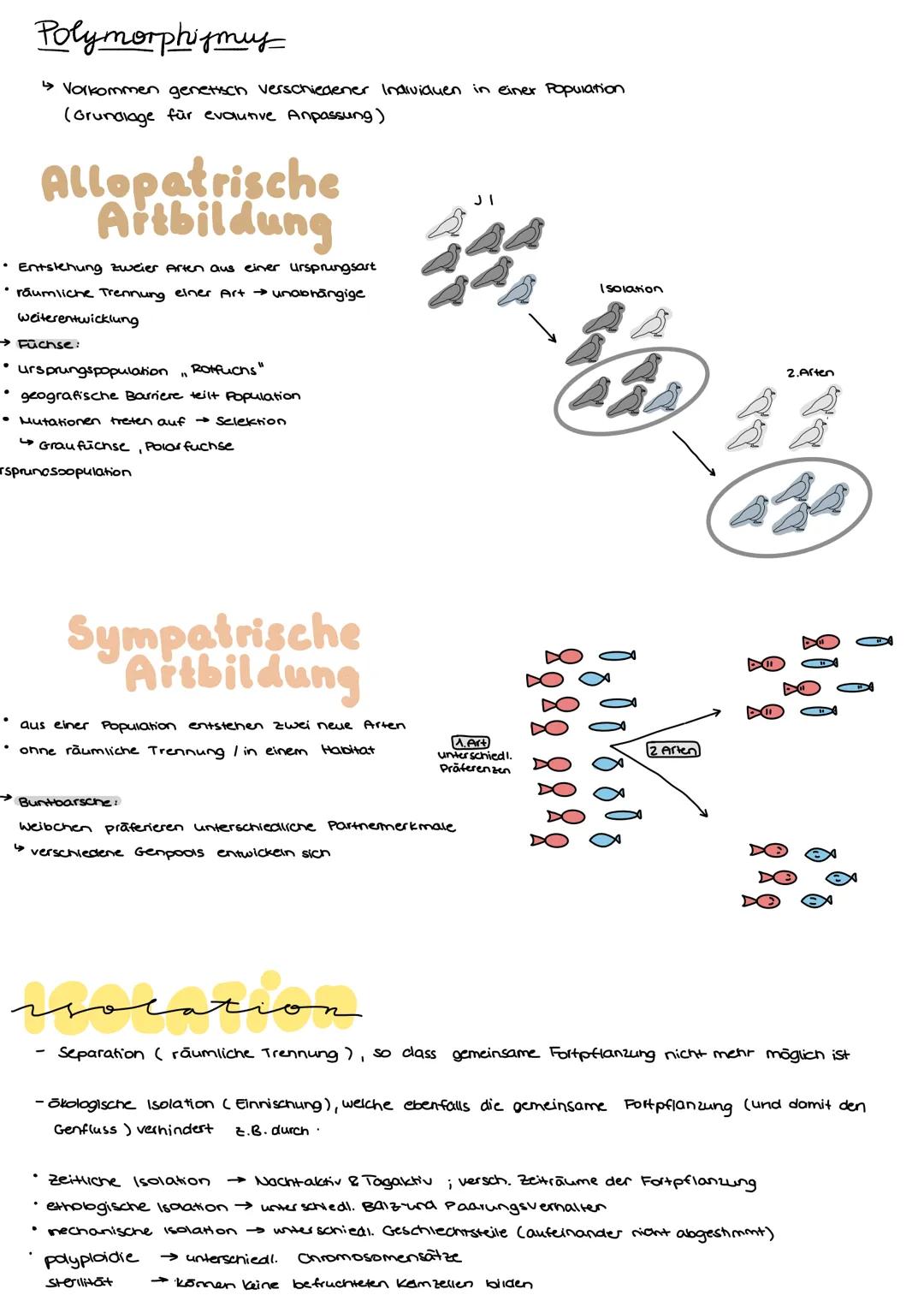 # 5.0 Evolution

Lamarck

- unter Lebewesen besteht abgestufle Ahnlichkeit & Verwandschaft

↳ Arten sind veränderlich → kontinuierlicher Art