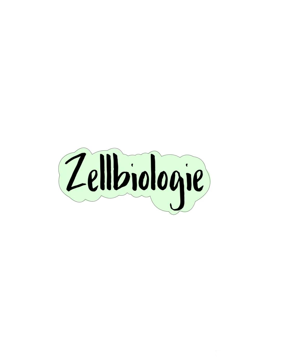 Zellbiologie Zellorganelle
Organell Tierzelle Pflanzenzelle Funktion
Zellkern ✓ ✓
Zellmembran ✓
Zellwand X ✓
Cytoplasma ✓ V
Vakuole X ✓
Mito