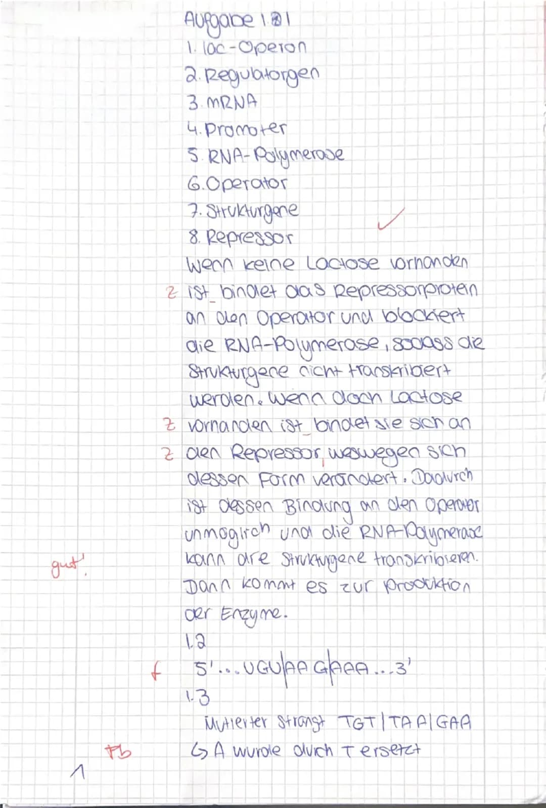 Punki mua
Q2 GK
Ökologie/Genetik
Datum:
Materialpaket Aufgabe 1:
Material A:
6
Substrat
vorhanden
ohnee
Substrat
Substrat
Lactose (Effektor)