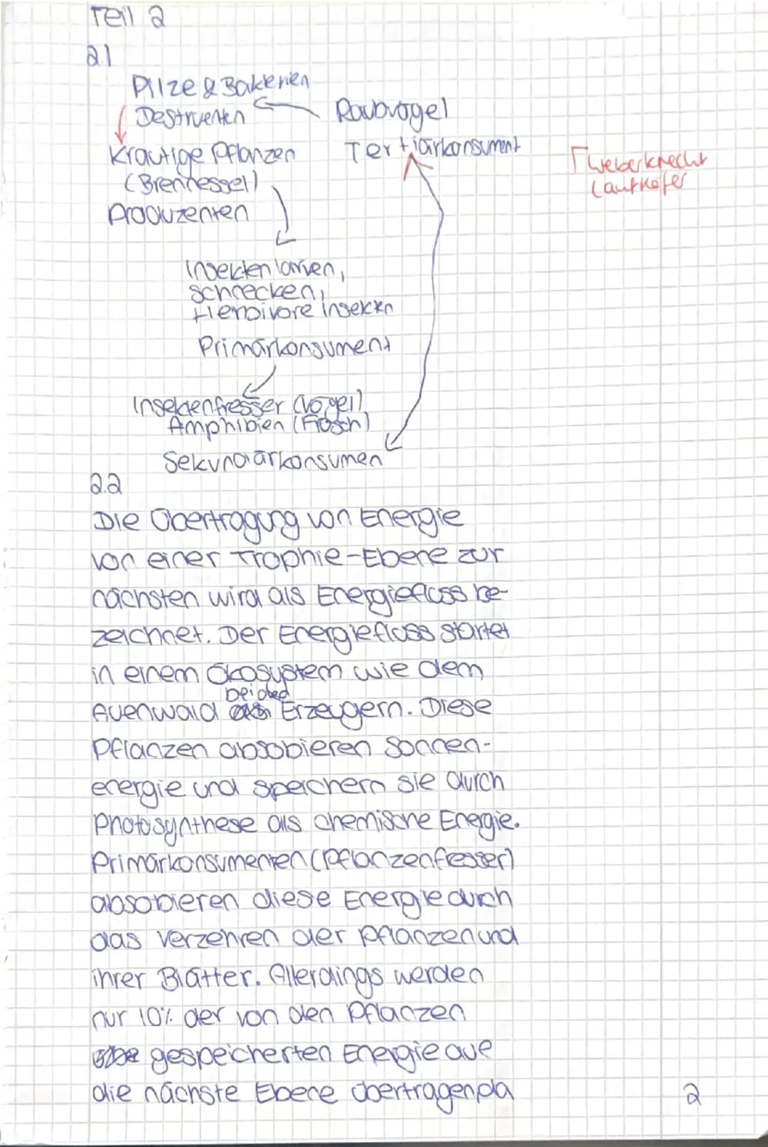 Punki mua
Q2 GK
Ökologie/Genetik
Datum:
Materialpaket Aufgabe 1:
Material A:
6
Substrat
vorhanden
ohnee
Substrat
Substrat
Lactose (Effektor)