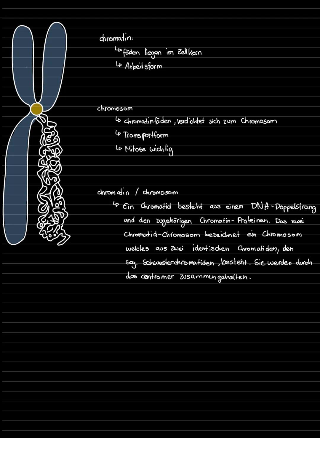 &
BIOLOGIE
CYTOPLASMA (Zellplasma):
•befindet sich in allen Prokaryotischen & eukaryotischen Zellen
enthält Cytoskelett
• Stabilisiert durch