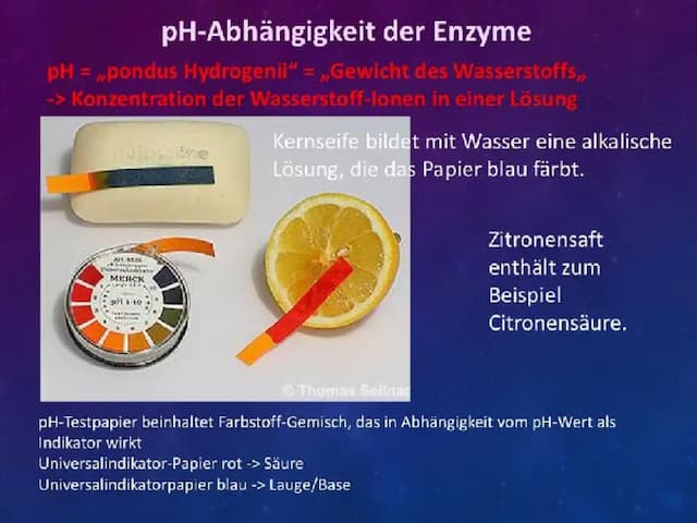 Know Der pH-Wert thumbnail
