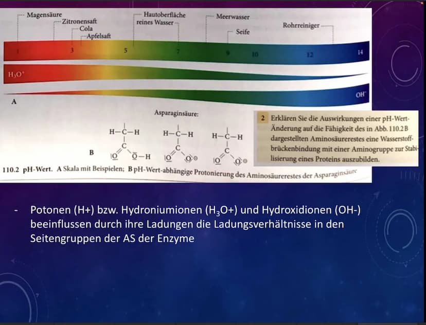 
<p>Der pH-Wert, auch bekannt als ,,pondus Hydrogenii" oder ,,Gewicht des Wasserstoffs", ist die Konzentration der Wasserstoff-Ionen in eine