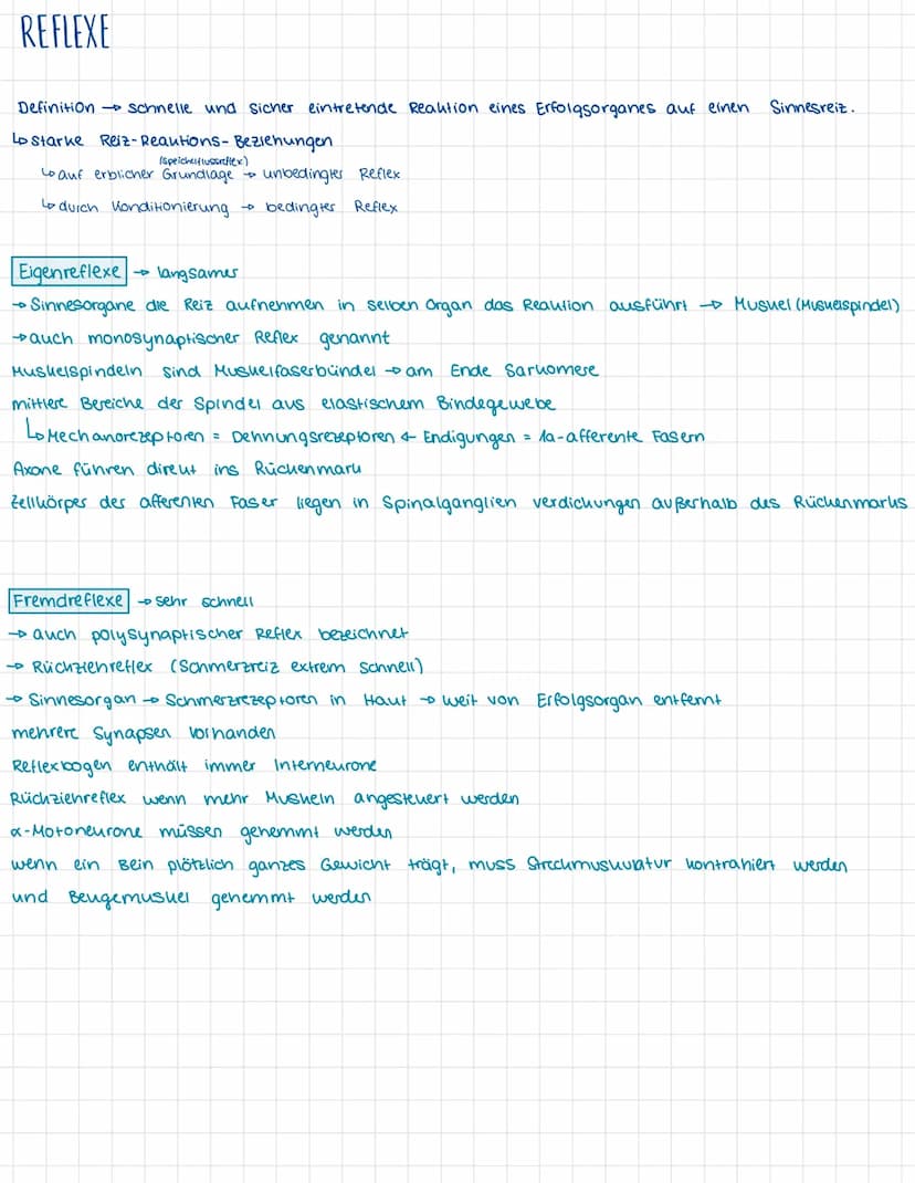biologie.
Proximate Ursachen unmittelbare u. entwicklungsbedingte Visachen
1. Genetische und entwicklungsbiologische Mechanismen
Lo Wirkung 