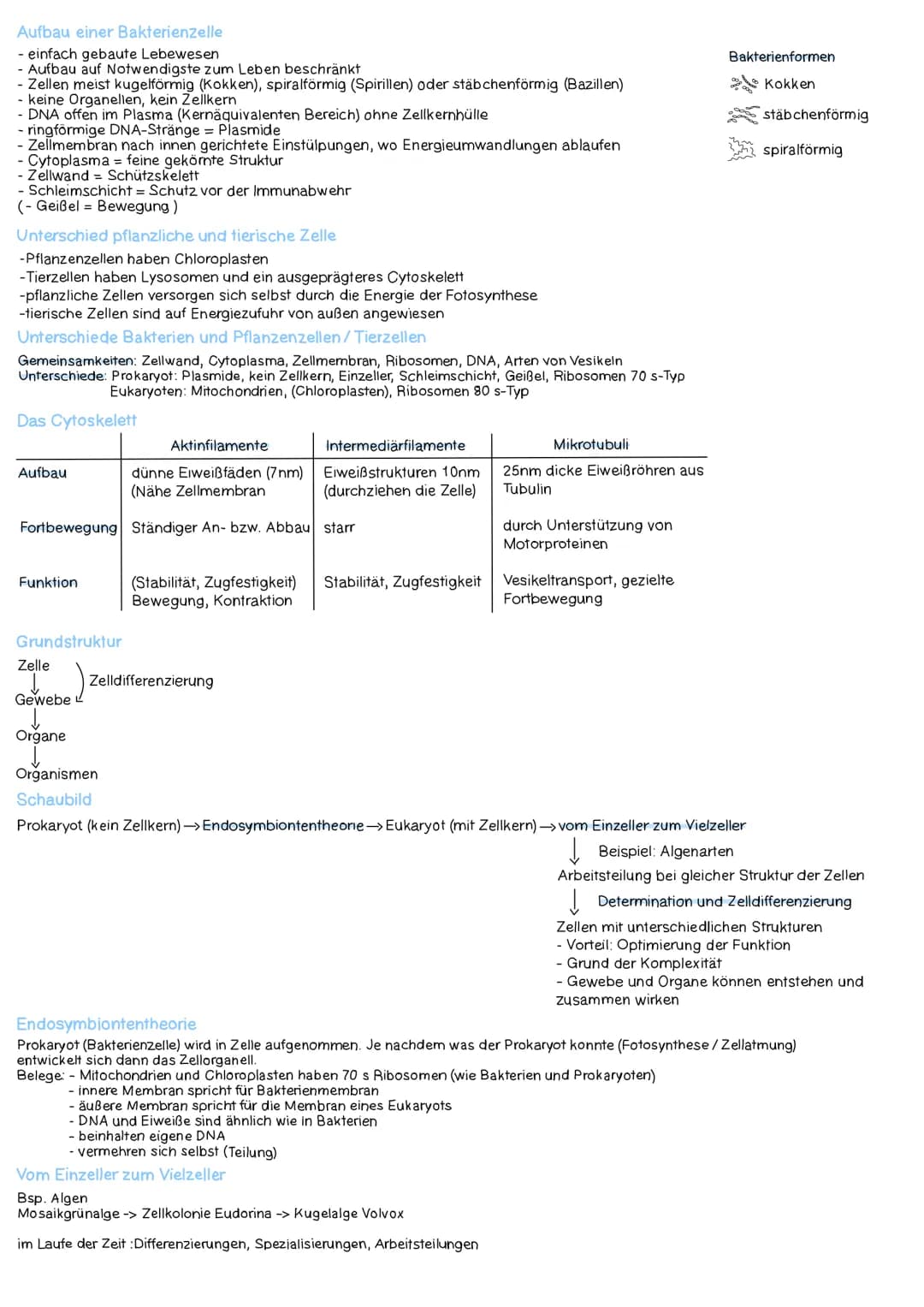 Aufbau einer Zelle
Cytoplasma.
Vesikel.
/ Lysosom
Nucleus
Rathaus
Golgi-Apparat
/ Dictyosom
Ribosomen
Fabriken
Endoplasmatisches
Retikulum (