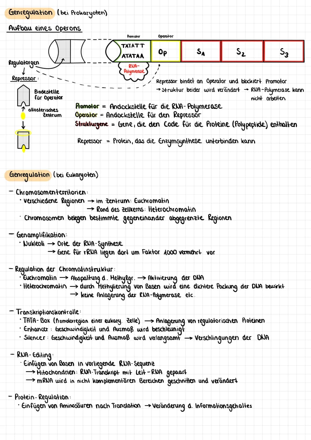 Genregulation (bei Prokaryoten)
Aufbau eines Operons
M
Regulatorgen
Repressor:
Bindestelle
für Operator
Tallosterisches
Zentrum
Promotor
TAT