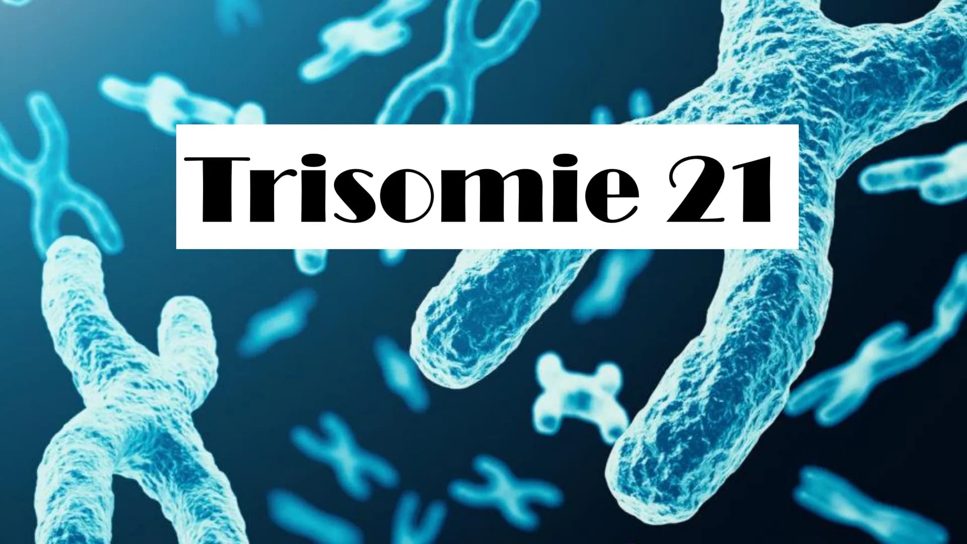 Trisomie 21
ہو Allgemeine Infos
Gliederung
Krankheitsbild
Häufigkeit in
der
Bevölkerung
Art der
Mutation
Therapie Allgemeine Infos
• Viele v