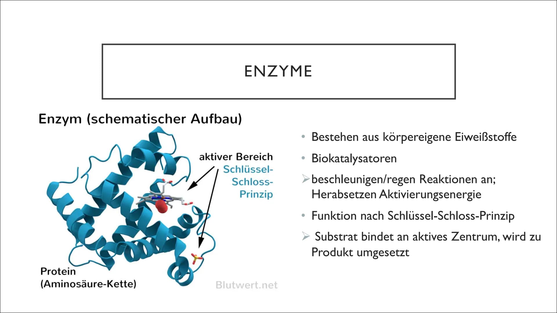 ENZYME IN
DER
MEDIZIN &
DIAGNOSTIK GLIEDERUNG
I.
II.
III. Entwicklung
IV. Anwendungsbereiche
V. Diagnostik
VI. Enzymtherapie
VII. Verabreich