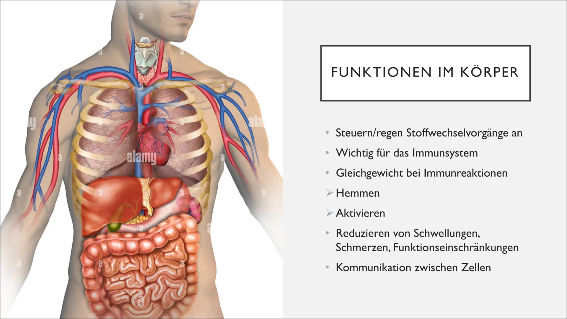 ENZYME IN
DER
MEDIZIN &
DIAGNOSTIK GLIEDERUNG
I.
II.
III. Entwicklung
IV. Anwendungsbereiche
V. Diagnostik
VI. Enzymtherapie
VII. Verabreich