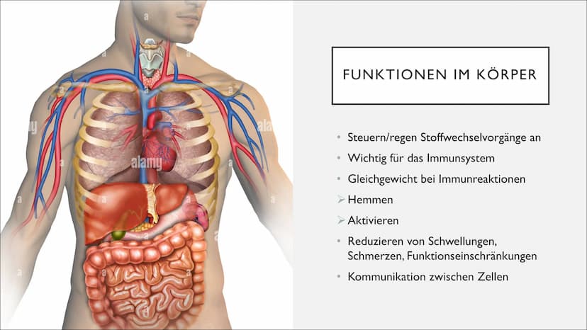 ENZYME IN
DER
MEDIZIN &
DIAGNOSTIK GLIEDERUNG
I.
II.
III. Entwicklung
IV. Anwendungsbereiche
V. Diagnostik
VI. Enzymtherapie
VII. Verabreich