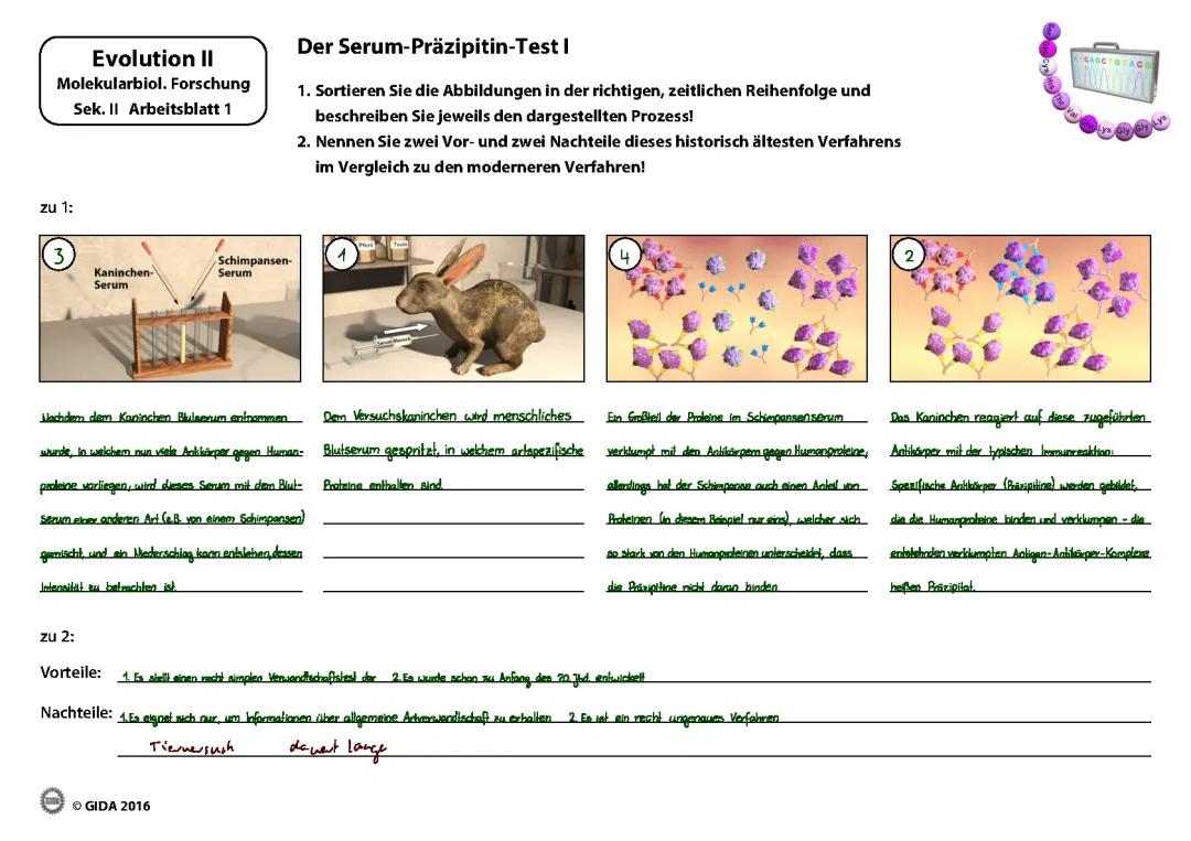 Molekularbiologie: Untersuchung von DNA und Aminosäuren - Einfach Erklärt