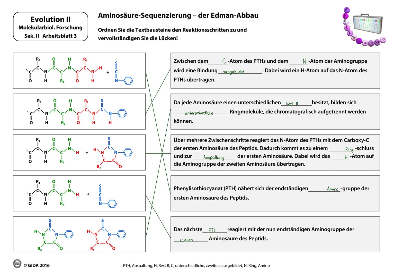 Evolution II
Molekularbiol. Forschung
Sek. II Arbeitsblatt 1
zu 1:
Kaninchen-
Serum
Nachdem dem Kaninchen Blutsevum entnommen
Intensität zu 